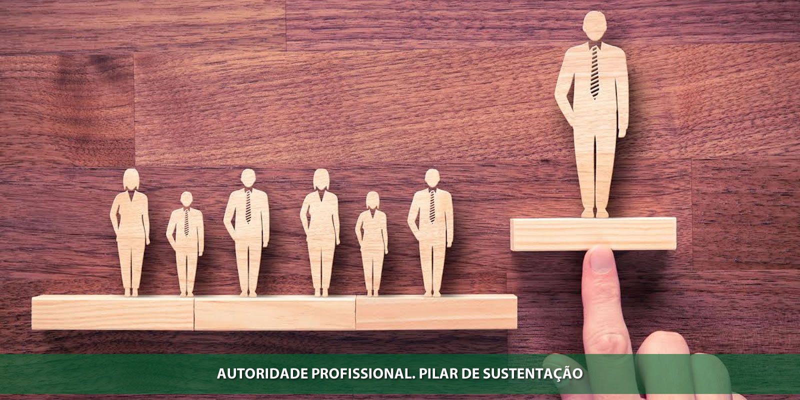 AUTORIDADE PROFISSIONAL. LEVA TEMPO, MAS VALE À PENA